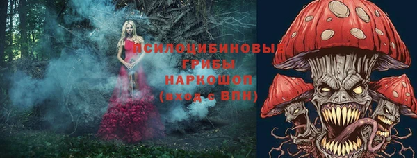 mdma Пересвет