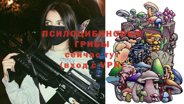 мдпв Валуйки