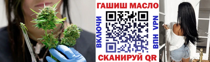 сколько стоит Аргун ТГК гашишное масло