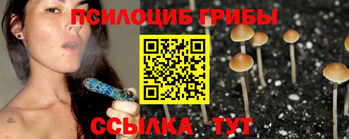 Псилоцибиновые грибы Psilocybe  Вход с VPN  Аргун  Галлюциногенные грибы MAGIC MUSHROOMS 